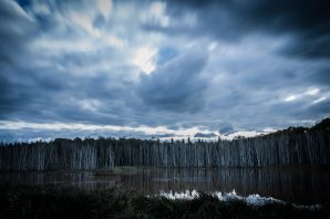 Eine kleine Fotosafari